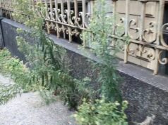 Degrado a San Salvario, vie dimenticate tra spaccio e strade dissestate