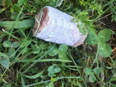 Parco Colonnetti, compaiono nuovamente bocconcini avvelenati