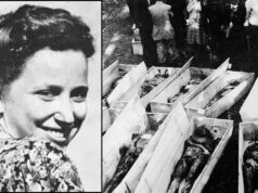 Varisella vota contro l’intitolazione di una via a Norma Cossetto, 23enne stuprata e uccisa da Tito norma cossetto