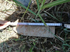 Ordigno bellico (2 Guerra Mondiale) in campo agricolo a Rivoli