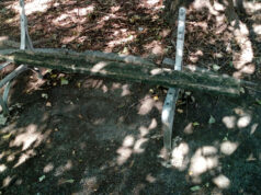 Via delle Verbene, il degrado della periferia. Le foto