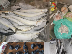 Barriera Nizza: 190 chili di cibo mal conservato e quasi 30000 euro di sanzioni cibo mal conservato