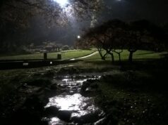 ‘Guardatemi mentre faccio filmini hard’, soldi a ragazzini al Valentino