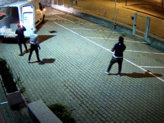Furti nelle aziende e rapine col taser: sgominata banda di rom