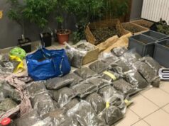 Rifornivano di droga la movida di Torino spacciatore droga