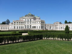 Stupinigi, un ettaro di cannabis nel parco reale. Arrestato albanese – VIDEO