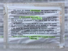 Bocconi avvelenati in zona Barca, muore un cagnolino Bocconi avvelenati zona Barca