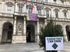 Festa dell’albero, ‘la foresta che avanza’ dona abete a Torino Festa albero foresta che avanza Torino