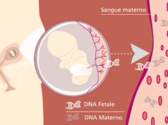 Piemonte, NIPT gratis per donne in gravidanza nipt