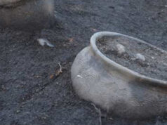 Volpiano, scoperto tesoro archeologico: coppe in vetro e 44 tombe romane Volpiano scoperto un tesoro archeologico coppe in vetro e 44 tombe romane