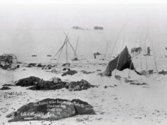 29 Dicembre 1890: il massacro di Wounded Knee Wounded Knee