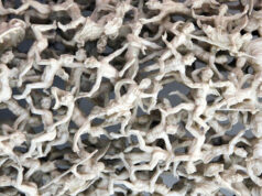 Commercio d’avorio, confisca da 150mila euro e 27 denunce nel torinese Commercio avorio