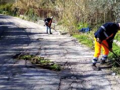 Piemonte, approvato Bonus di 600€ a operai forestali operai forestali bonus piemonte