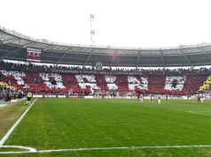 Gli ultras del Toro diserteranno il derby contro il Green Pass toro calcio ultras granata torino