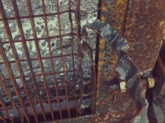 Palle di neve e pietre, ancora tensioni al cantiere Tav in Valsusa valsusa no tav cancello