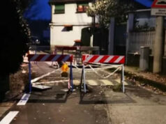 Petrarulo ‘ripristinare manto stradale in via Rubens Fattorelli’ via rubens fattorelli torino