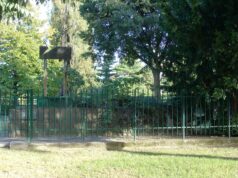 Le 7 meraviglie di Mirafiori Sud aeroporto mirafiori torino