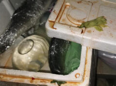 Turchi, cinesi e marocchini sanzionati per scarsa igiene alimentare a Torino alimenti mal conservati torino