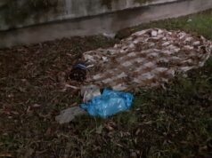 Borgo Vittoria, un giaciglio fra i palazzi borgo vittoria