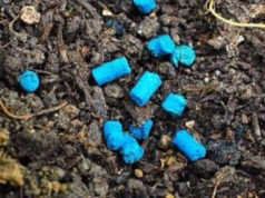 Brandizzo, veleno lumachicida per le vie del paese lumachicida brandizzo