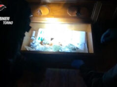 Va a denunciare l’auto rigata, arrestato per droga rivoli arrestato droga carabinieri