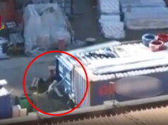 Ruba moneta dai distributori, poi fuga da film al Ruffini container