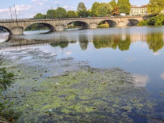 Si getta nel Po per salvare il cane, salvata fiume po torino
