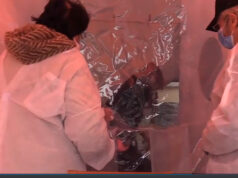 Rivoli, stanza degli abbracci all’RSA stanza degli abbracci