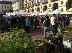 Assembramenti Agriflor, Petrurulo attacca Appendino agriflor piazza vittorio assembramenti