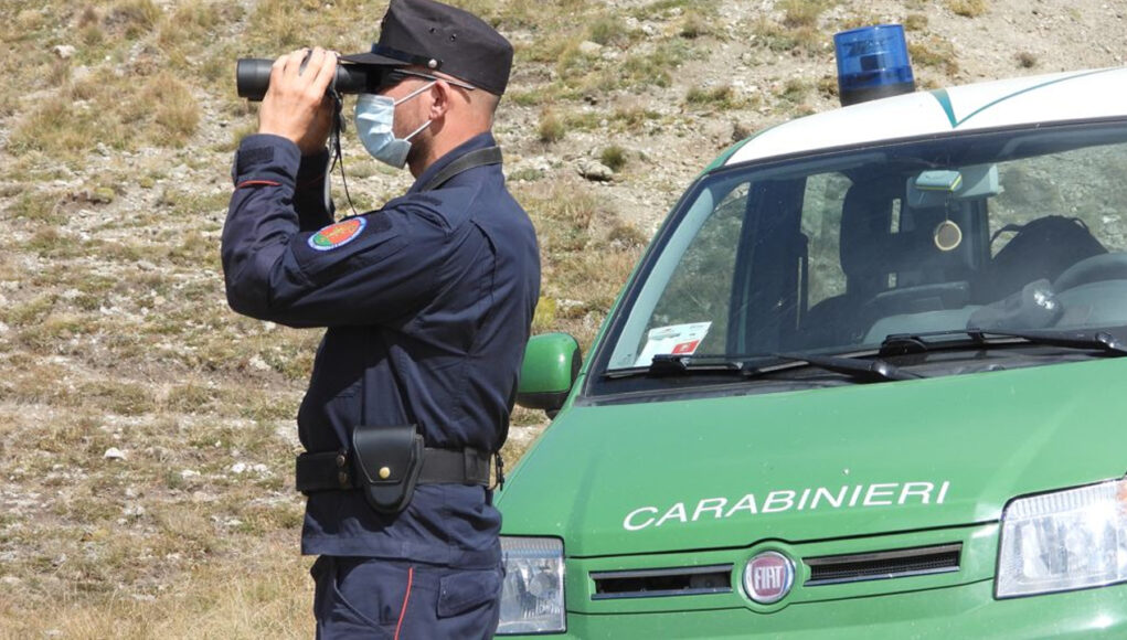 carabinieri forestali