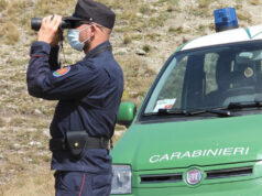 Incendi, 21 denunciati dalla forestale nel cuneese carabinieri forestali