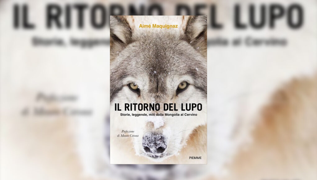 il ritorno del lupo libro AIMÈ MAQUIGNAZ