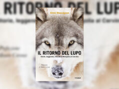 Il ritorno del lupo: storia e leggende nel nuovo libro il ritorno del lupo libro AIMÈ MAQUIGNAZ