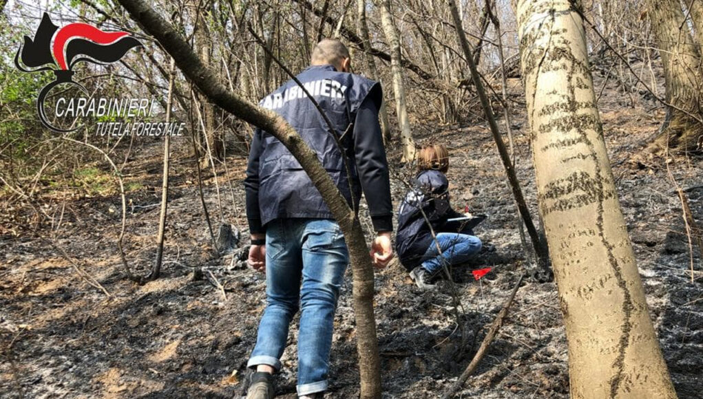 incendi bassa val susa