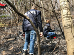 Il volontario antincendio appiccava gli incendi in bassa Val Susa incendi bassa val susa