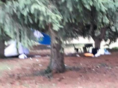 Borgo Vittoria, tossic park fuori dall’area cani tossic park borgo vittoria