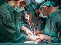 Trapianti, seconda paziente riceve rene maiale negli Usa, operata anche al cuore