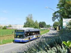 Collegno, Parisi “potenziare trasporto pubblico a Villaggio Dora” autobus gtt collegno