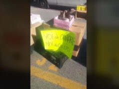 Protesta degli ambulanti di Via Onorato Vigliani -VIDEO mercato via onorato vigliani protesta