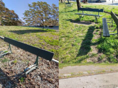 Il degrado dell’area verde di via Veronese via veronese area verde