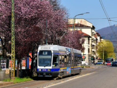 Corso Belgio: fuma, aggredisce conducente, distrugge e urina sul tram