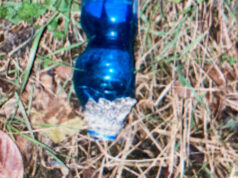 Problema droga a Collegno, Parisi “PD disinteressato” droga collegno