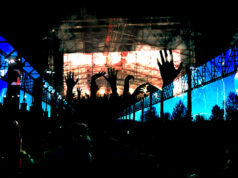 Parco Dora: musiche e balli senza mascherina e oltre il coprifuoco rave parco dora