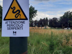 Nell’area cani di strada delle Cacce spuntano i serpenti area cani strada delle cacce serpenti