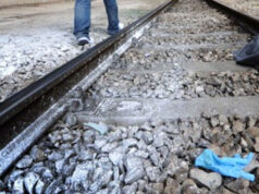 Rincorre il cane che gli era scappato. Muore travolto dal treno francesco rizzo treno