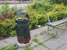 Petrarulo, giardino “degli orrori” in via Tollegno giardino via tollegno