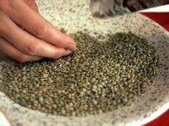 Natale: dalle lenticchie al pesce alla frutta secca, i cibi alleati contro il cancro