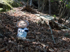 Si perdono nei boschi di Pomaretto, bambini ritrovati bosco pomaretto