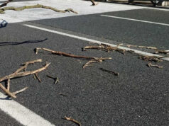 Albero cade in tangenziale causando scontro auto moto. Grave il centauro cade albero tangenziale