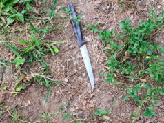 Parco Sempione, coltelli all’area cani di via Brenta coltello sempione